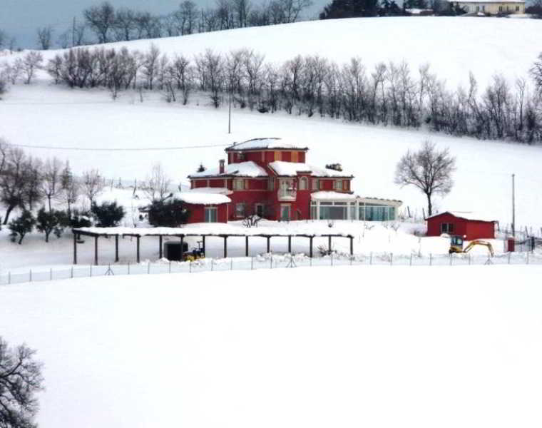 Gasthaus L'Antigo Granaro Agugliano Exterior foto